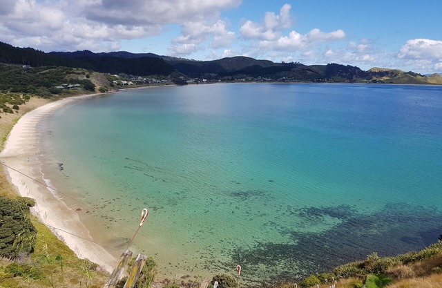 Breathtaking views of Opito Bay - Perfect family Beach house