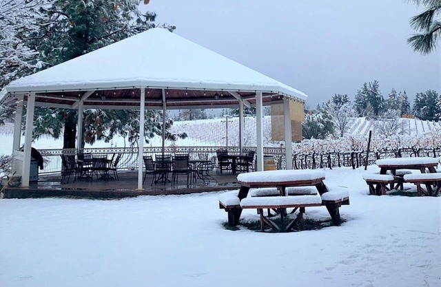 Breathtaking Vineyard Views 3 Minutes From Downtown