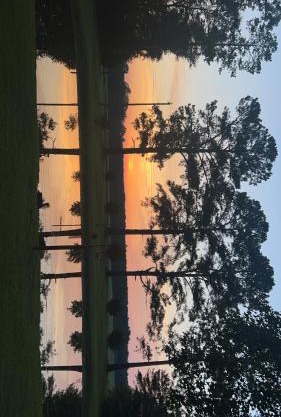 Breathtaking Waterfront Sunsets