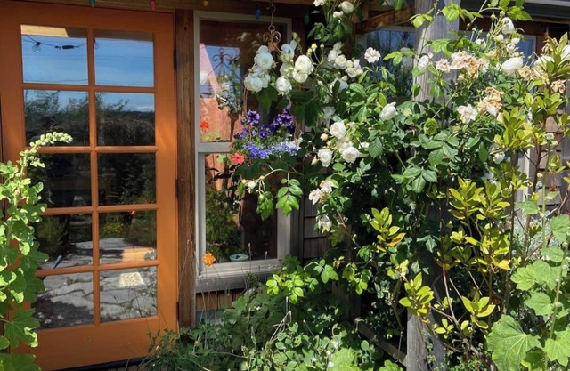 Bright art-filled home, fruit trees, valley view