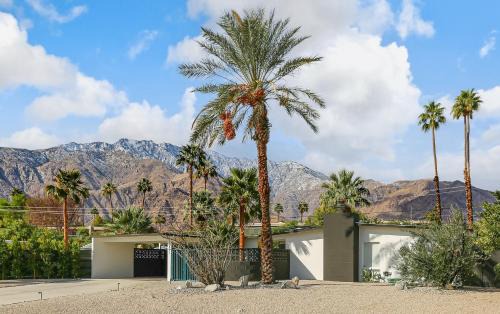 Bright & Harmonious Oasis