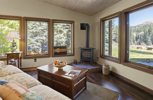 Bright Studio Cabin, Pet Friendly, Views, Wifi, 1 mile to Vallecito Lake