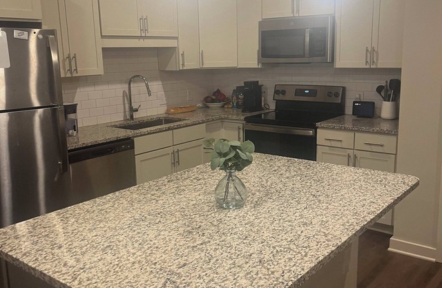 BROAD STREET ADJACENT 4 miles from masters 2br/2bth Luxury Apartment Augusta Ga