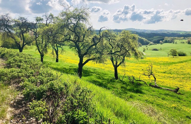 Brunnenhof cottage rental