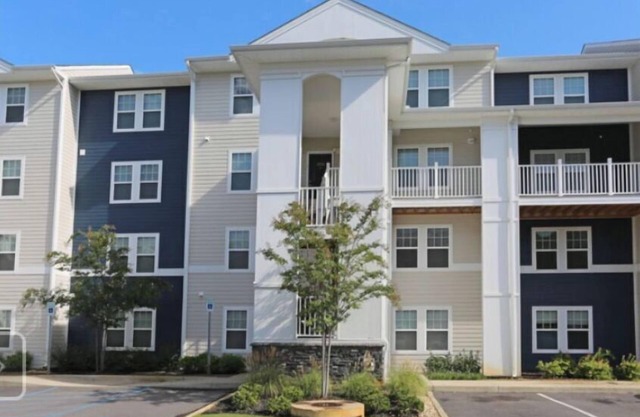 Bryant Stadium 10 min & DCH 10 min away, Car Svc