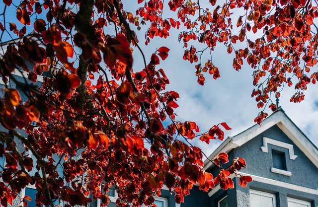 Bryn Berwyn Country House