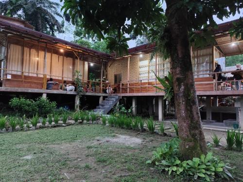 Bua Guesthouse Tangkahan