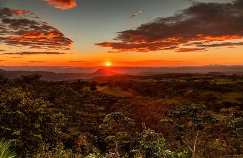 Buena Vista Del Rincon Eco Adventure Park Hotel 