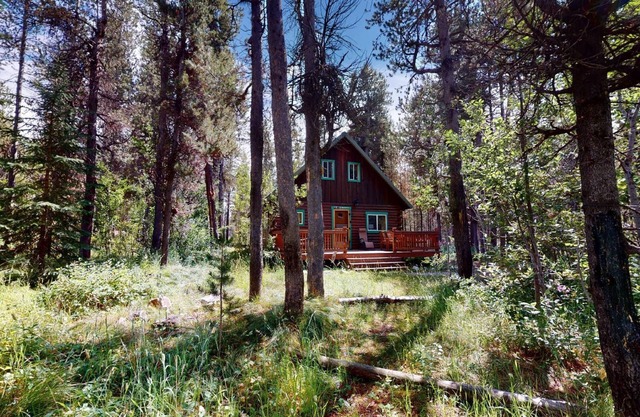 Buffalo River Retreat *Free Wifi, 2Br+Loft, Sleeps 6, Minutes to Buffalo River