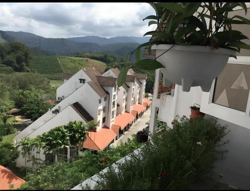 Hillhomes 