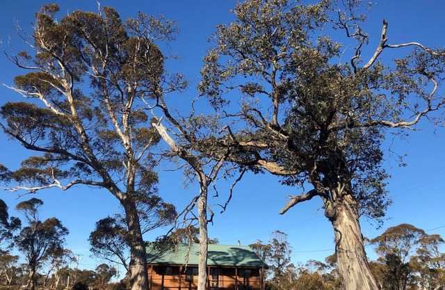 Bull Tavern Lodge on Cider Gum