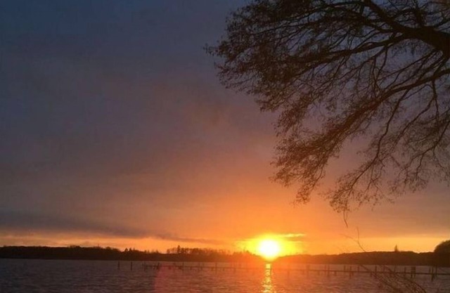 Bungalow Oberspreewald 2