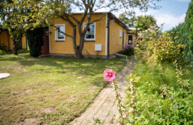 Bungalow Appelboom - Bungalow 417