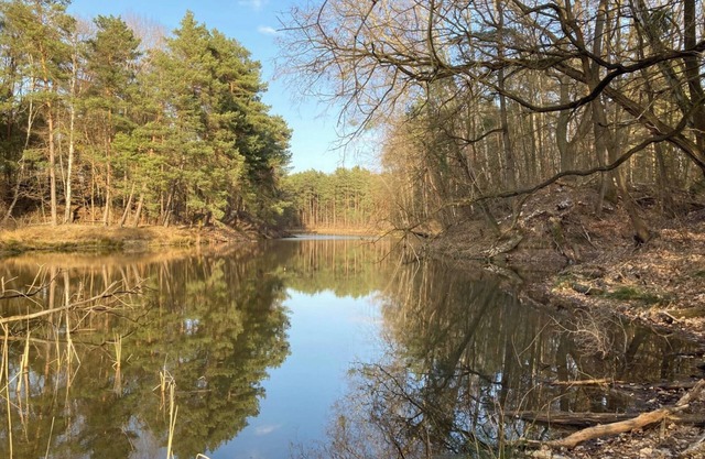 Bungalow 'im Wald am See - Biberspur' with Lake View & Garden
