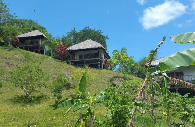 Bungalow sea view terrace
