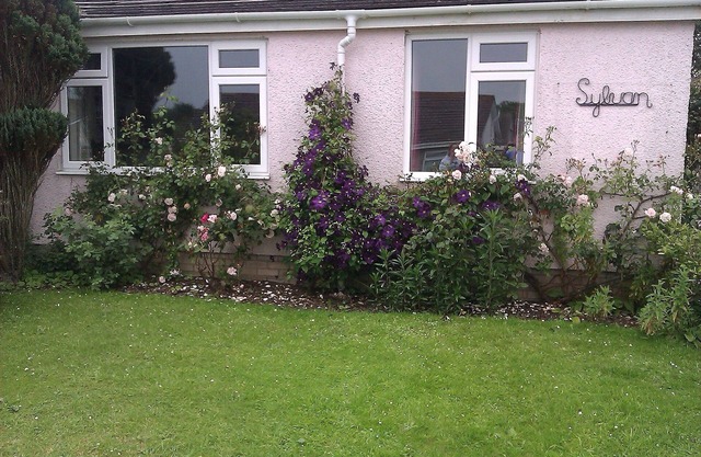 Bungalow, Very Close To The Centre Of St. Davids And In A Quiet Cul-De-Sac