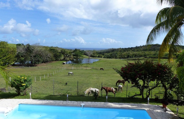 Bungalow Wood River Salt meadows overlooking the Caribbean sea and countryside