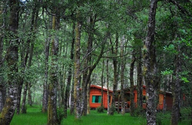 Bungalows da Peneda 3 - Peneda-Gerês National Park
