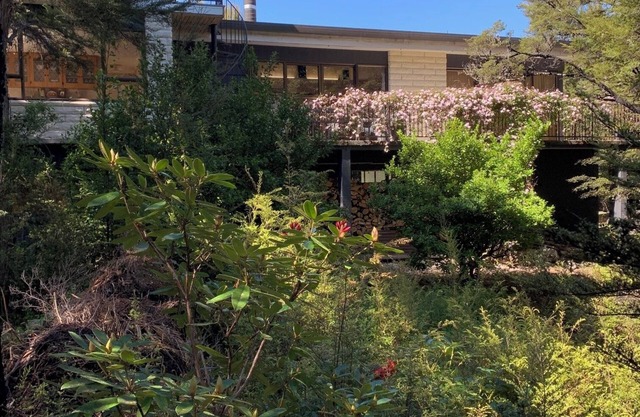 Bush and birdsong at spacious home-away-from-home, just minutes from lake shore