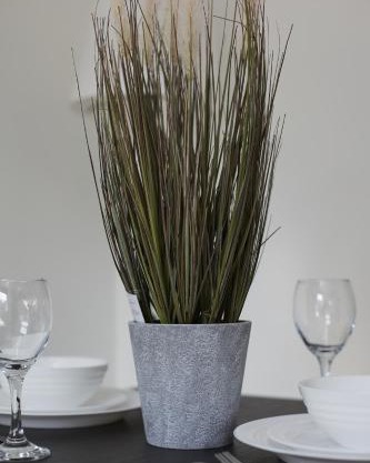 BV Royal Comfy Studio Seven Suite Queensgate Huddersfield