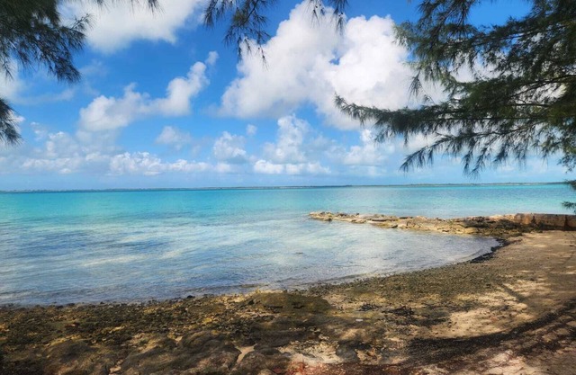 By the Bay - Brand New Apartment, Steps to the Sea, Walk to Town