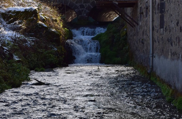 By the stream