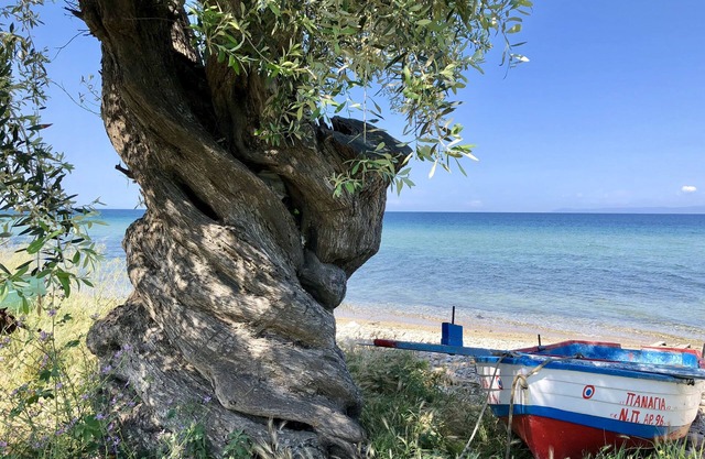 Byblos Luxury Villa