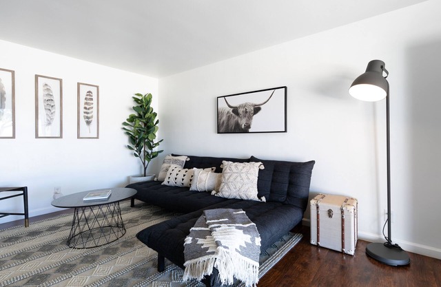 C3- Modern Black & White Interior w/ a Warm Boho Edge