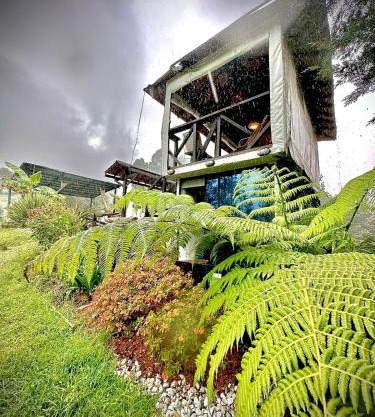 Cabaña Blanca Cielo Abierto