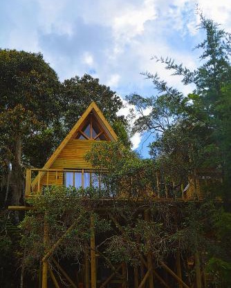 Cabaña Madre Selva