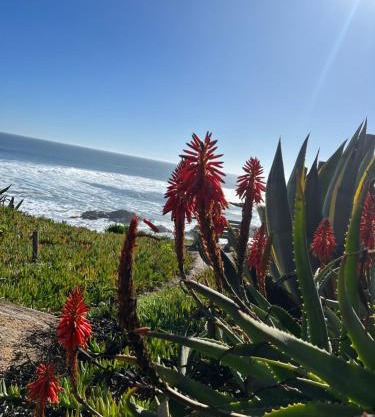 Cabaña Mar Pichilemu