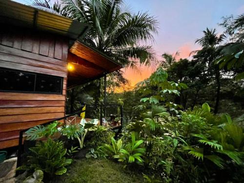 Cabaña Río San Carlos Ecolodge