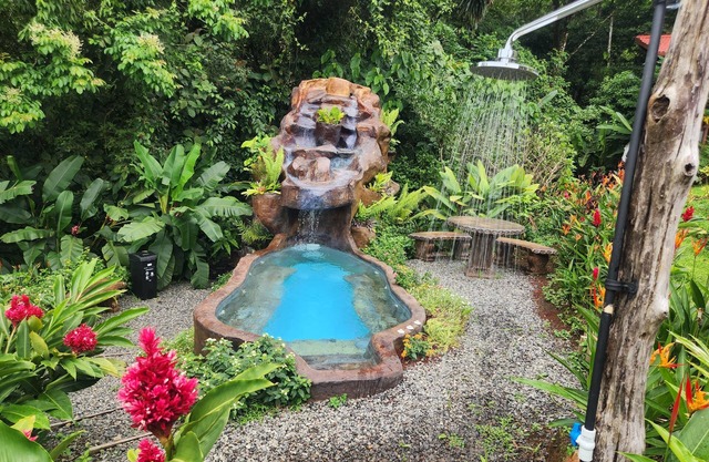 Cabañas Caeli Rainforest Glass Cabin El Congo La Fortuna