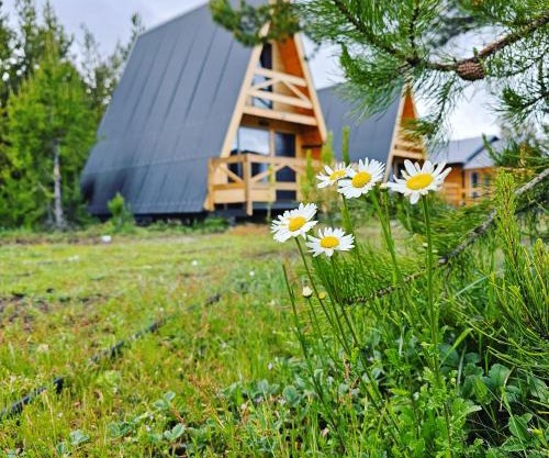 Cabañas Entre Cumbres