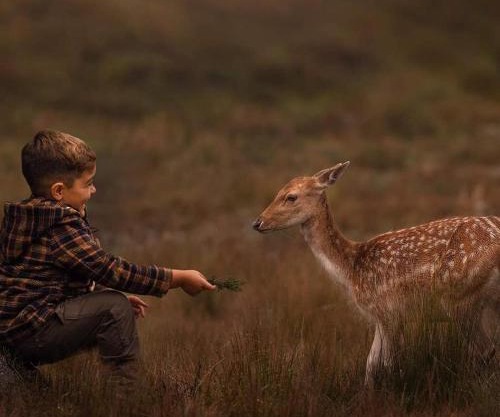 Cabañas Valle de los Ciervos