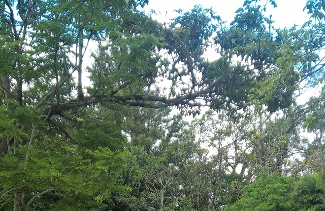 Cabanas el Valle