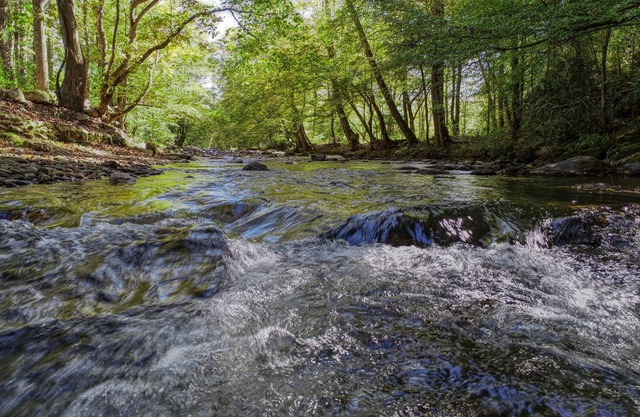 Cabin ∙ 2 bedrooms ∙ 6 guests