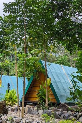Cabin Glamping