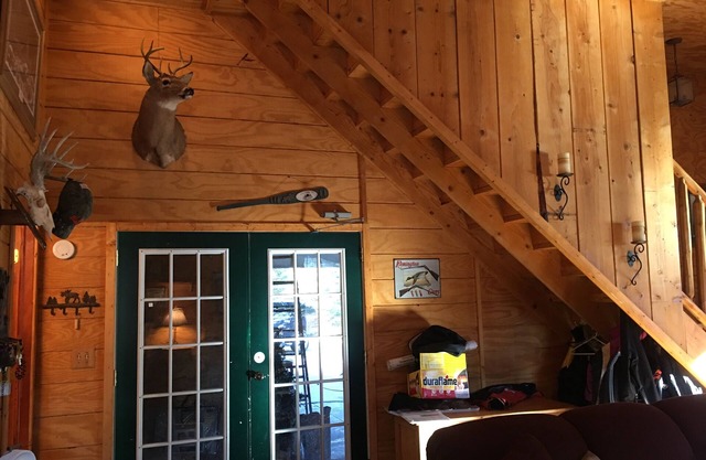 Cabin Hidden/Surrounded By Hundreds Of 30'+ Blue Spruce Pines !