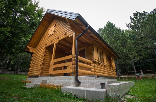 Cabin House Hidden Nest