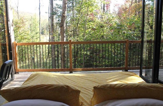 Cabin Zoobox 55