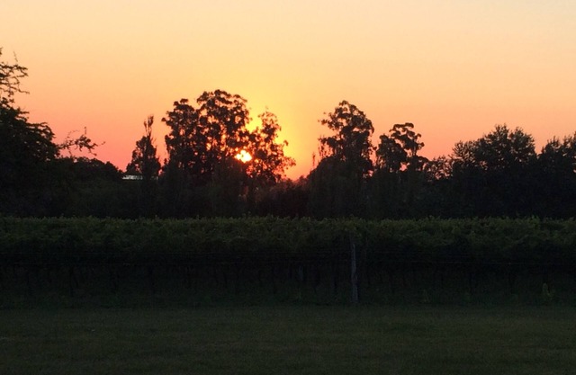 Cabins surrounded by vineyards, with history and something new to discover, lots of peace