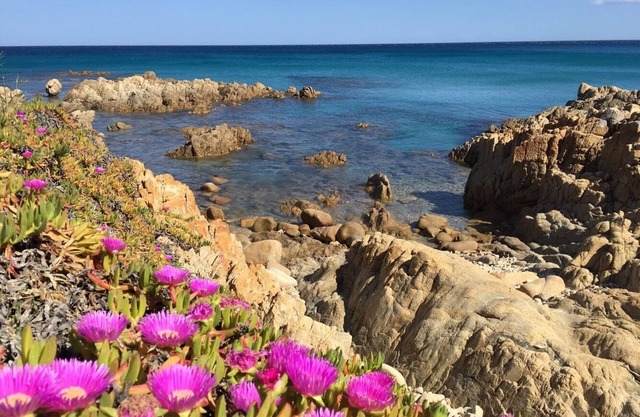 Cala Liberotto: Villa with garden - Cala Liberotto (Orosei)