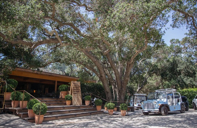 Calamigos Guest Ranch and Beach Club