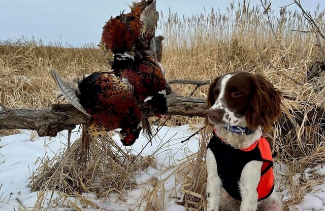 Calvert Creek Hunting Lodge