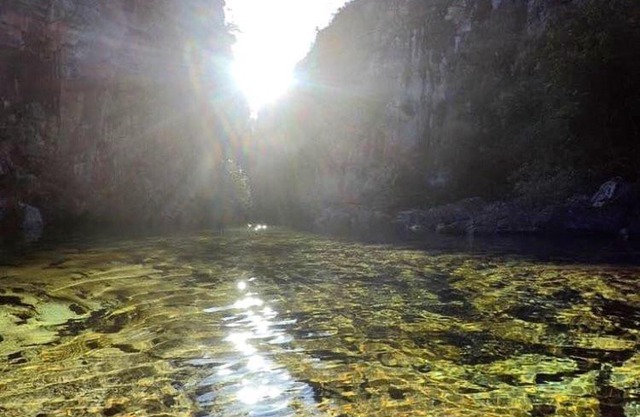 Camping do Tamanduá