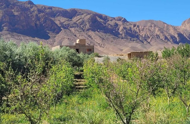 Camping Ferme Farmhouse