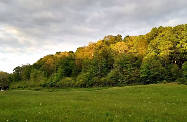 Camping in Hocking Hills on Altenbrauch Farm