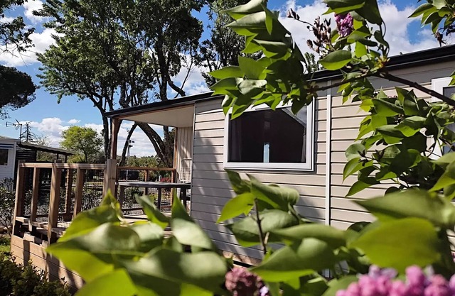 Camping l'Olivier * - Mobil-Homes Prestige 2 bedrooms 4 people