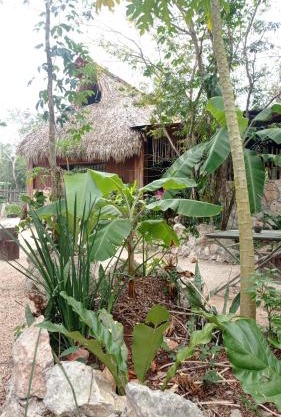 Camping Rancho El Tauro